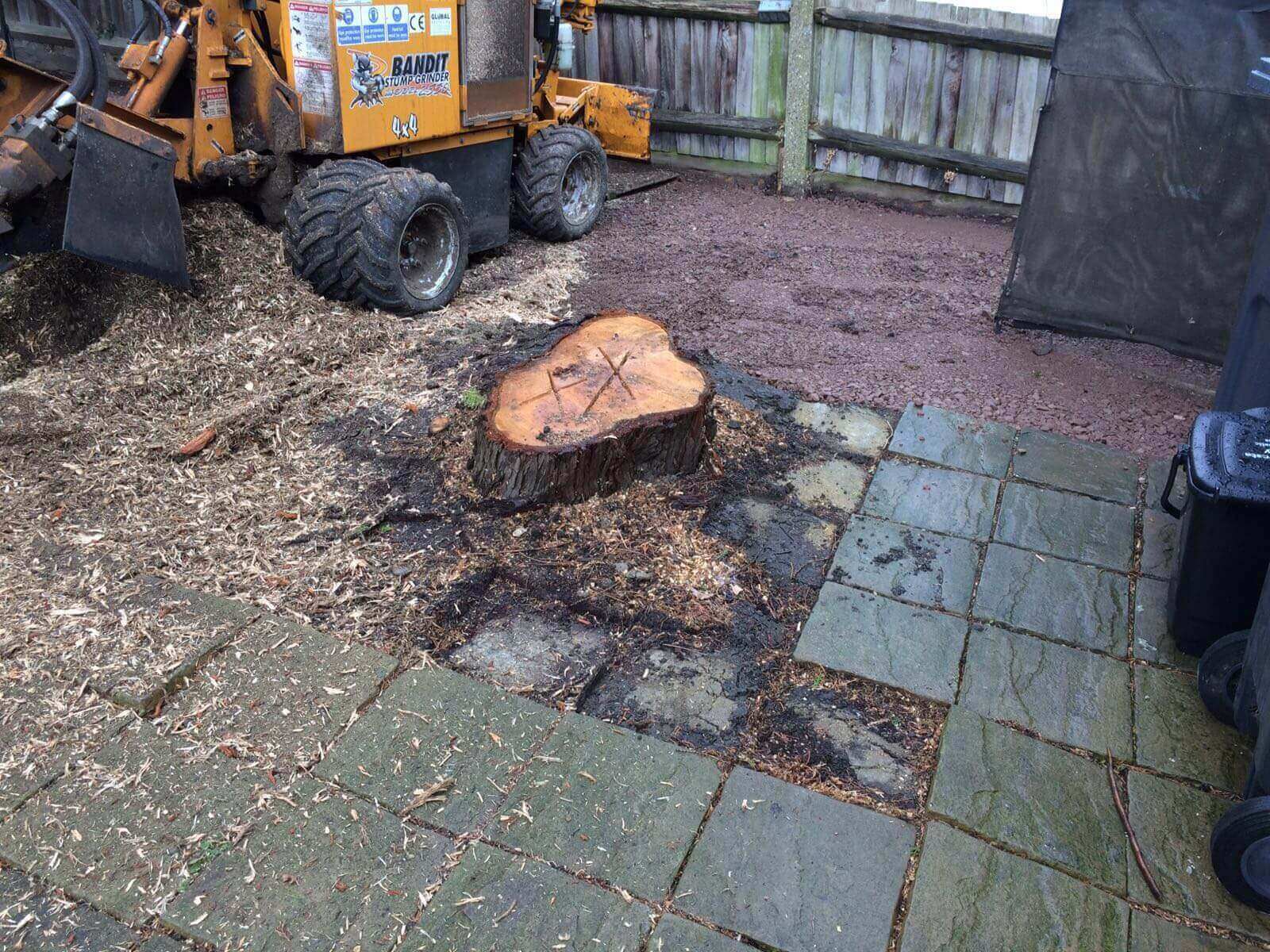 Tree Surgeons South Norwood SE25